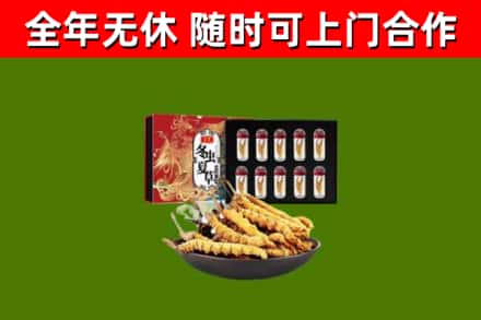 扬州市回收冬虫夏草价格