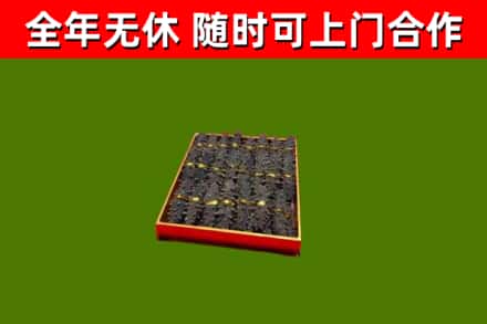 扬州市回收海参